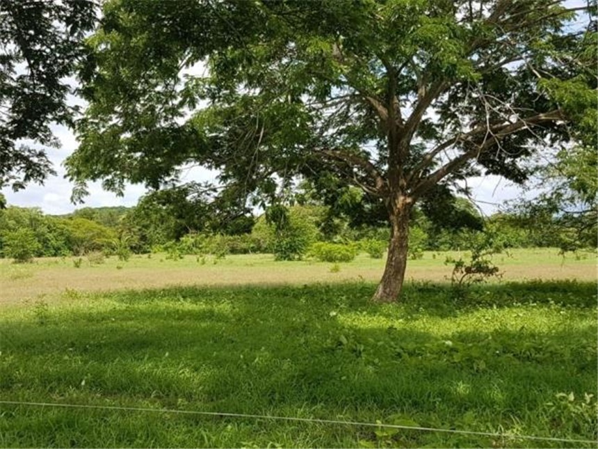Finca en venta en Pasacaballos I, Cartagena · foto 23 de 24