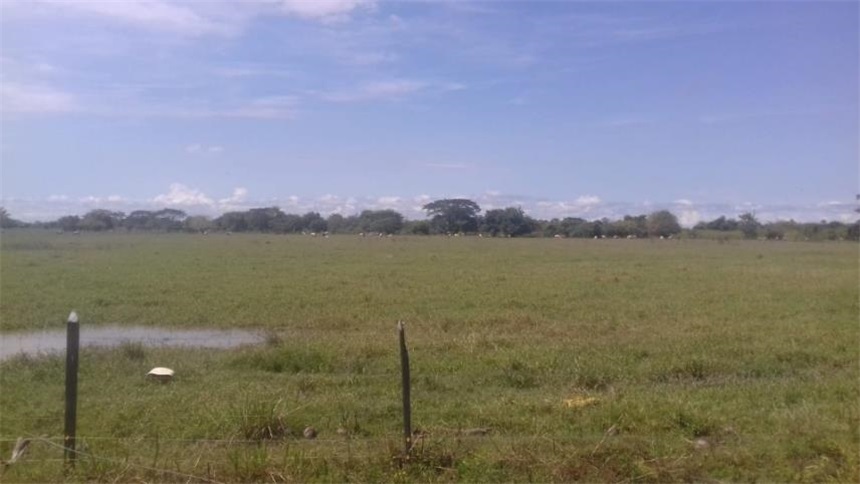 Finca en venta en Pasacaballos I, Cartagena · foto 5 de 24