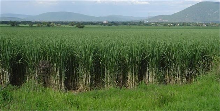Finca en venta en Pasacaballos I, Cartagena · foto 13 de 24