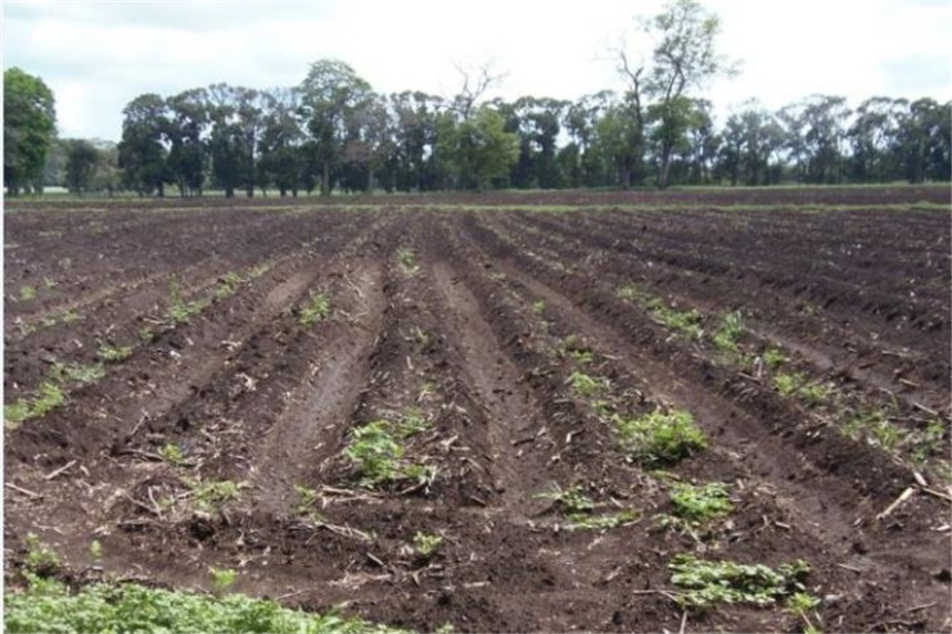 Finca en venta en Pasacaballos I, Cartagena · foto 20 de 24