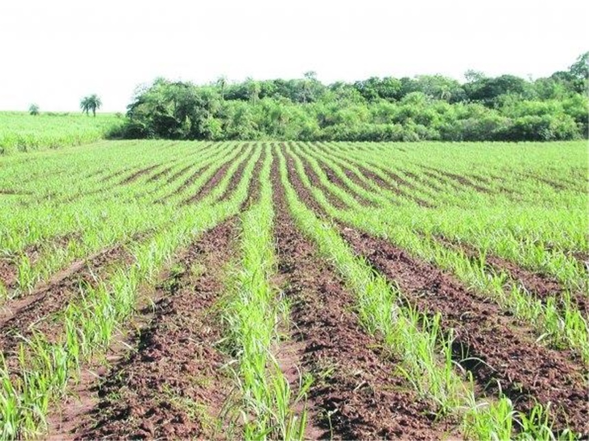 Finca en venta en Pasacaballos I, Cartagena · foto 11 de 24
