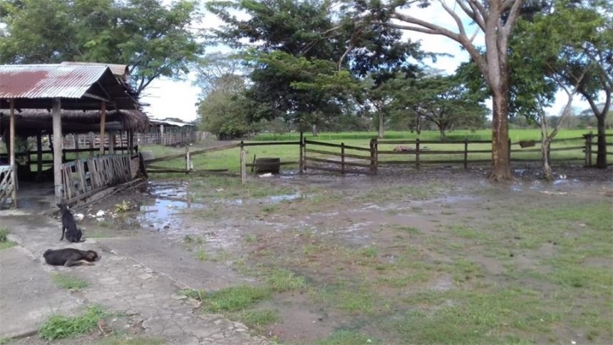 Finca en venta en Pasacaballos I, Cartagena · foto 8 de 24