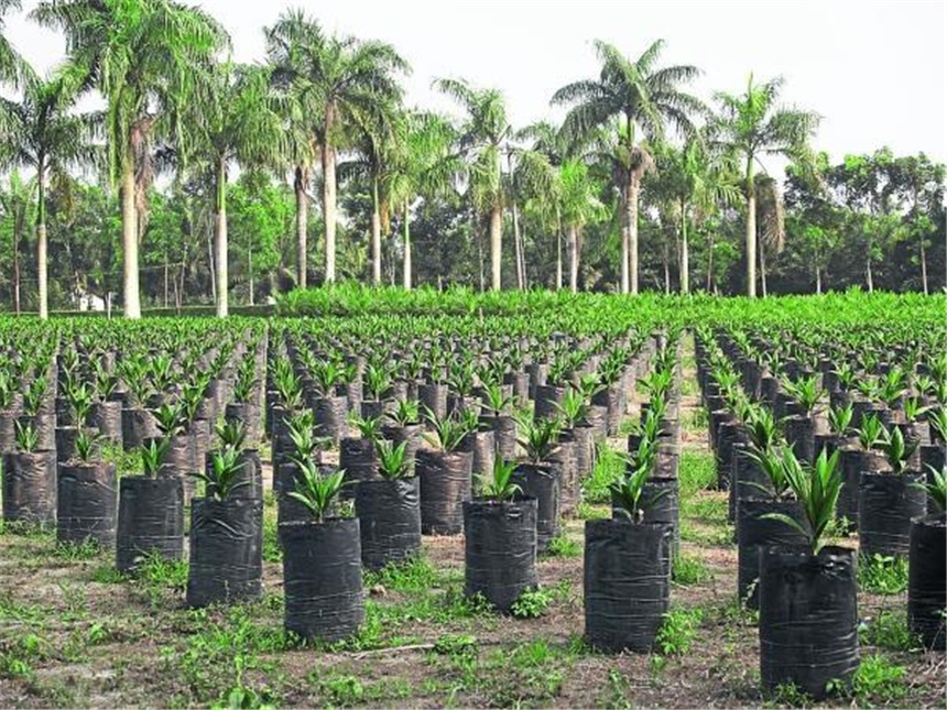 Finca en venta en Pasacaballos I, Cartagena · foto 22 de 24