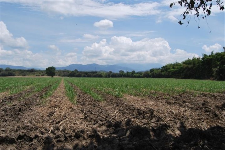 Finca en venta en Pasacaballos I, Cartagena · foto 18 de 24
