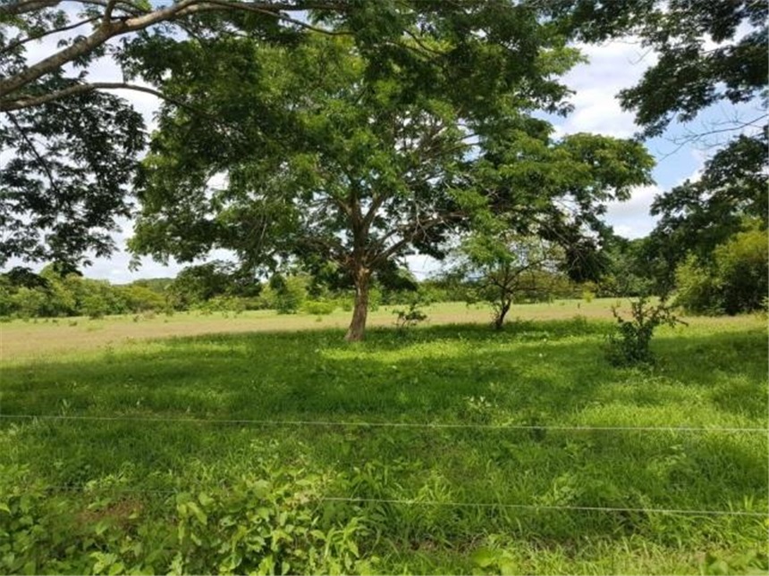 Finca en venta en Pasacaballos I, Cartagena · foto 10 de 24