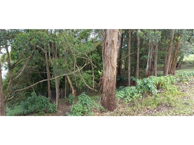Lote en venta en Loma Del Escobero, Envigado, 9380 m² · foto 13 de 19