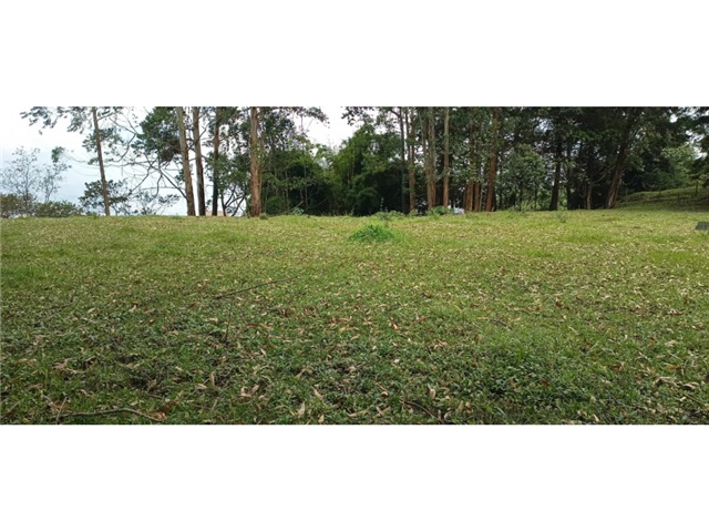 Lote en venta en Loma Del Escobero, Envigado, 9380 m² · foto 14 de 19