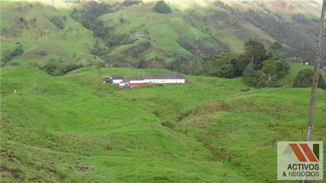 Finca en Venta - Görünüm 2