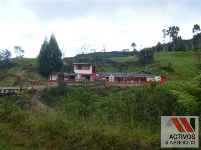 Finca en Venta - Görünüm 3