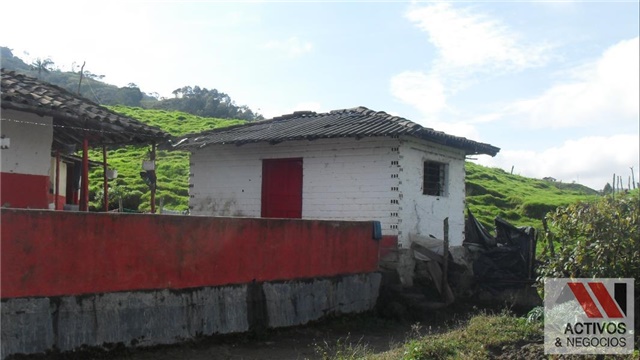 Finca en Venta - Görünüm 4