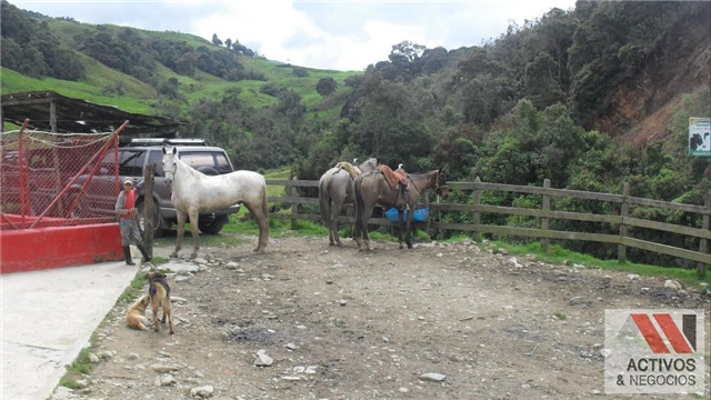 Finca en Venta - Görünüm 6
