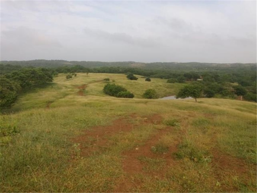 Lote en Venta - More
