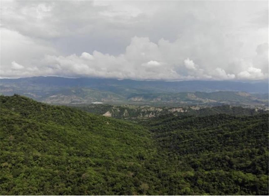 Finca en Venta - View 4