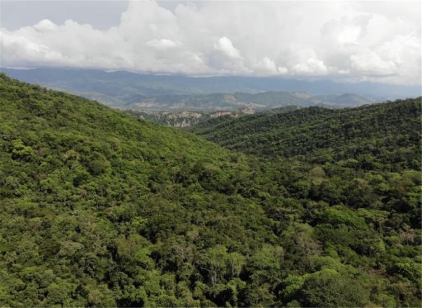Finca en Venta - View 3
