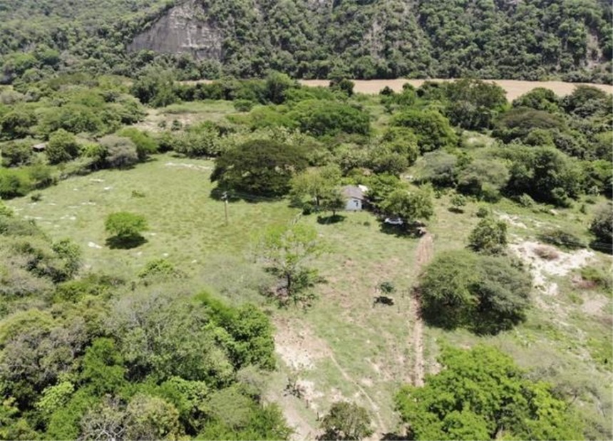 Finca en Venta - More