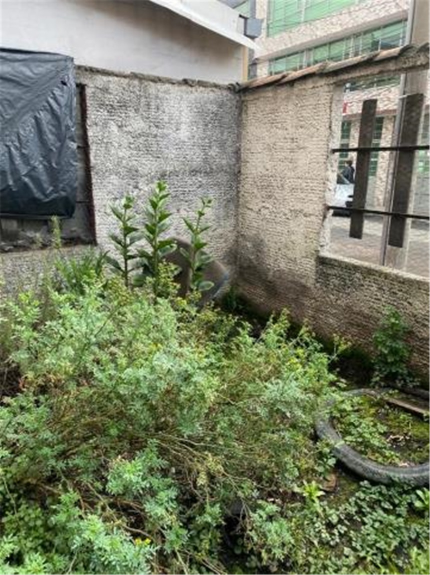 Casa en venta en Engativá, Bogotá · foto 8 de 24