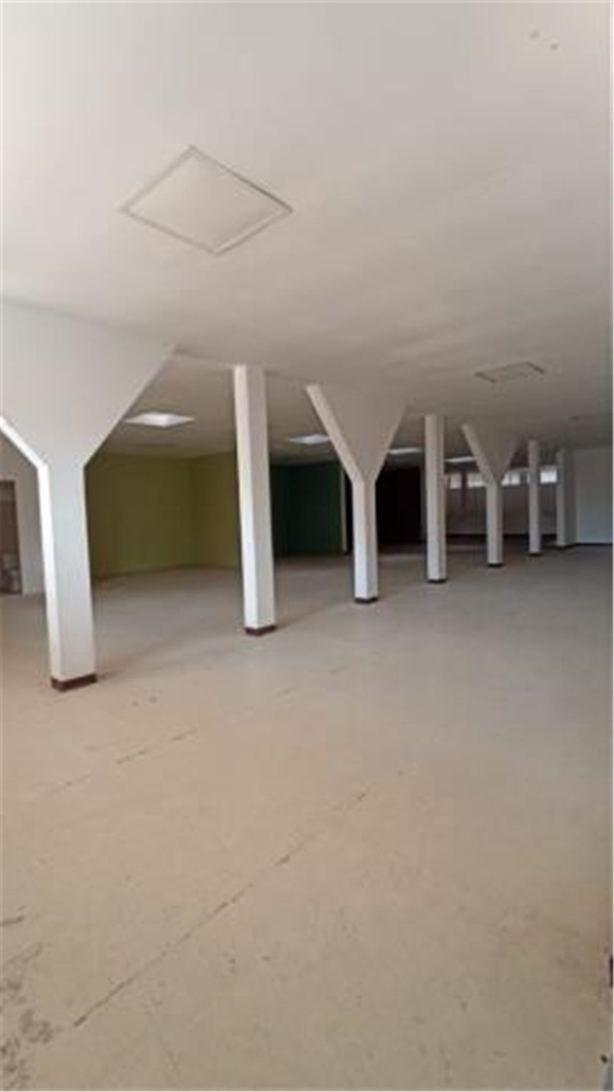 Bodega en arriendo en Centro, Pereira, 332 m² · foto 7 de 9