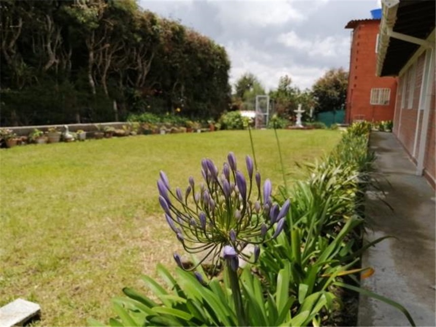 Finca en Venta – pohled 6