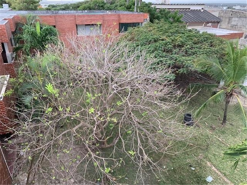 Lote en venta en Villas De La Colina, Barranquilla, 8661 m² · foto 6 de 12
