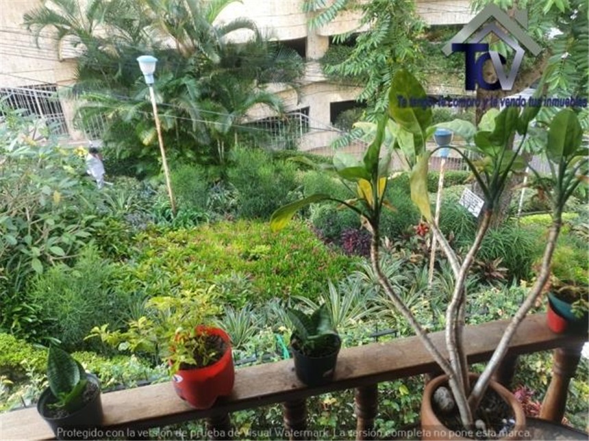 Casa de 5 alcobas en venta en Cabecera Del Llano, Bucaramanga, 250 m² · foto 17 de 20