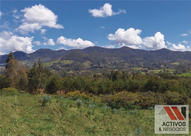 Lote en venta en El Tambo, La Ceja, 3376 m² · foto 2 de 24