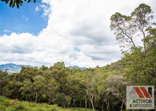 Lote en venta en El Tambo, La Ceja, 3376 m² · foto 13 de 24