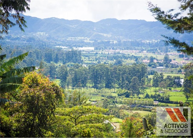 Lote en venta en El Tambo, La Ceja, 3376 m² · foto 14 de 24