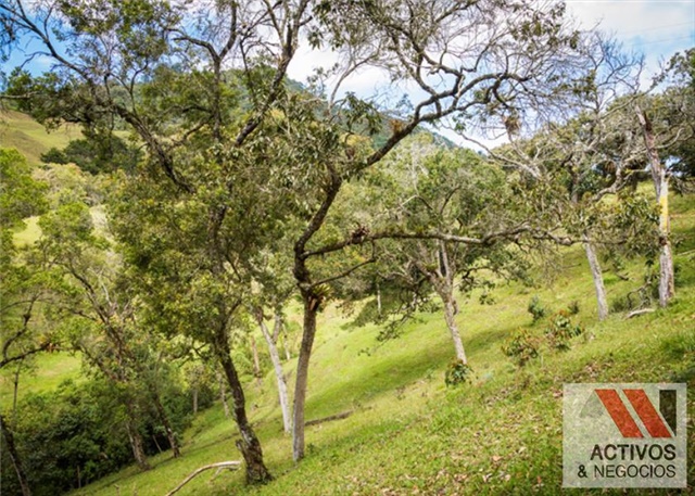 Lote en venta en El Tambo, La Ceja, 3376 m² · foto 15 de 24