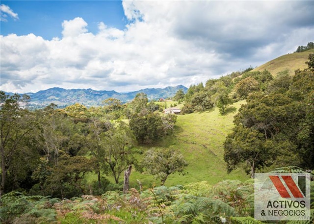 Lote en venta en El Tambo, La Ceja, 3376 m² · foto 16 de 24