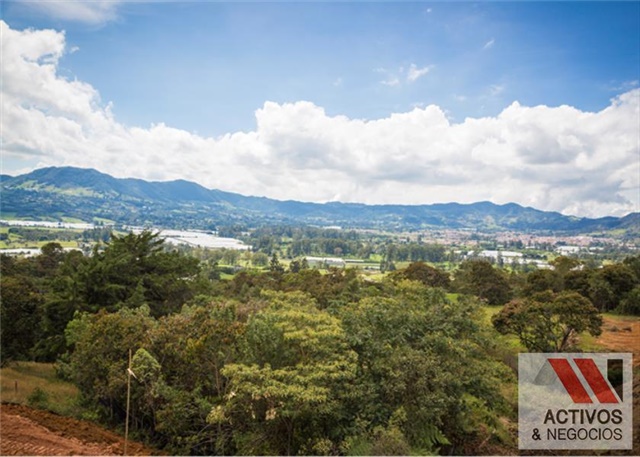 Lote en venta en El Tambo, La Ceja, 3376 m² · foto 18 de 24