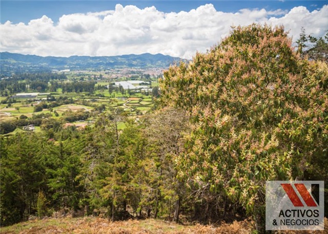Lote en venta en El Tambo, La Ceja, 3376 m² · foto 20 de 24