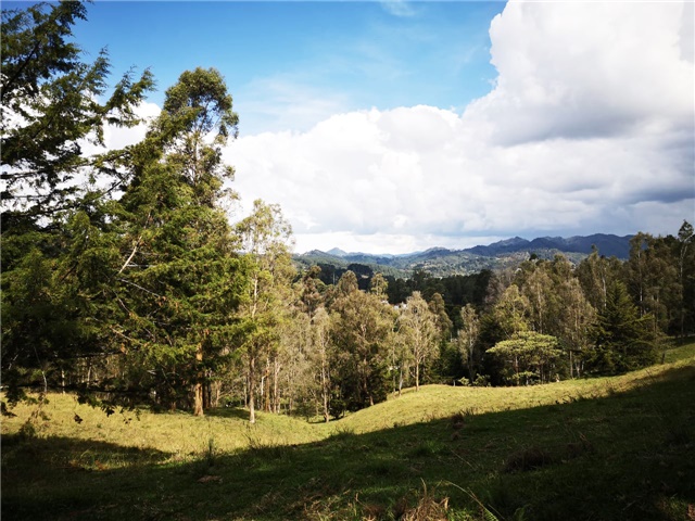 Lote en venta en Los Salados, Envigado, 22900 m² · foto 2 de 7