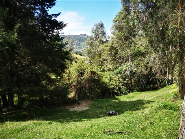 Lote en venta en Los Salados, Envigado, 22900 m² · foto 3 de 7
