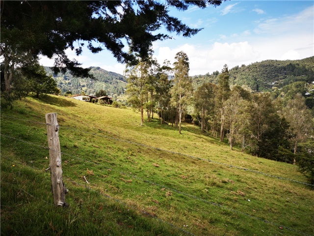 Lote en venta en Los Salados, Envigado, 22900 m² · foto 4 de 7