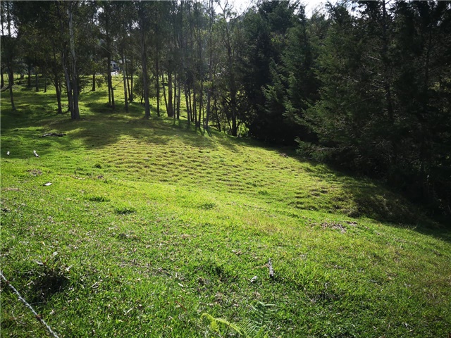 Lote en venta en Los Salados, Envigado, 22900 m² · foto 5 de 7