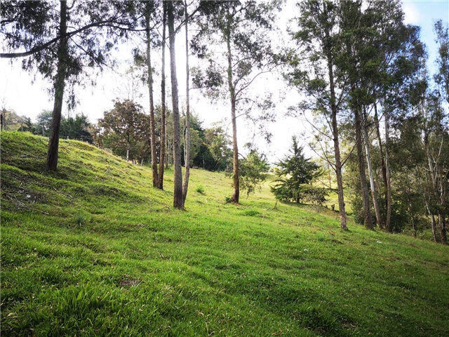 Lote en venta en Los Salados, Envigado, 22900 m² · foto 6 de 7