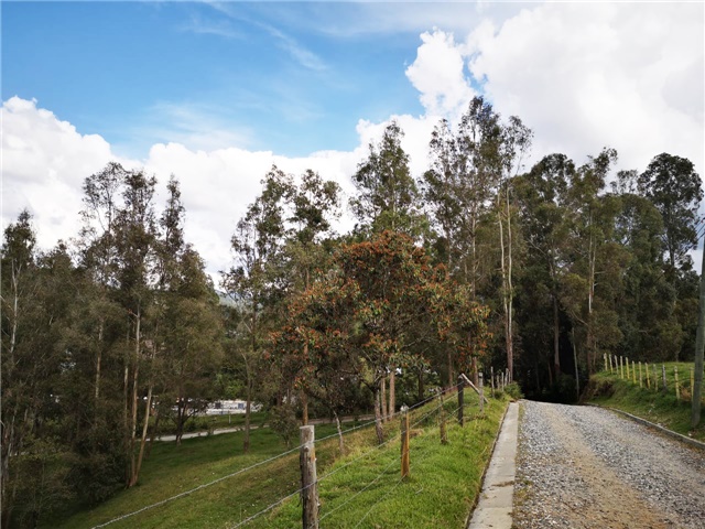 Lote en venta en Los Salados, Envigado, 22900 m² · foto 7 de 7