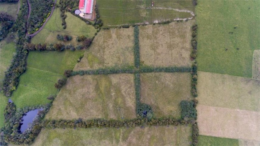 Finca en Venta