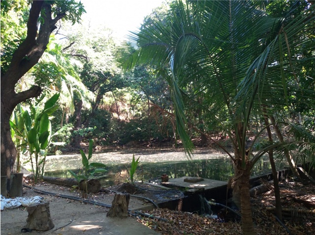 Finca en venta en Bonda, Santa Marta, 65815 m² · foto 9 de 20