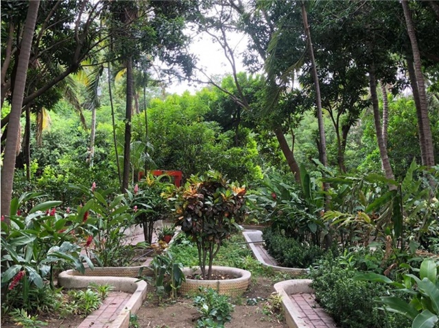 Finca en venta en Bonda, Santa Marta, 65815 m² · foto 11 de 20
