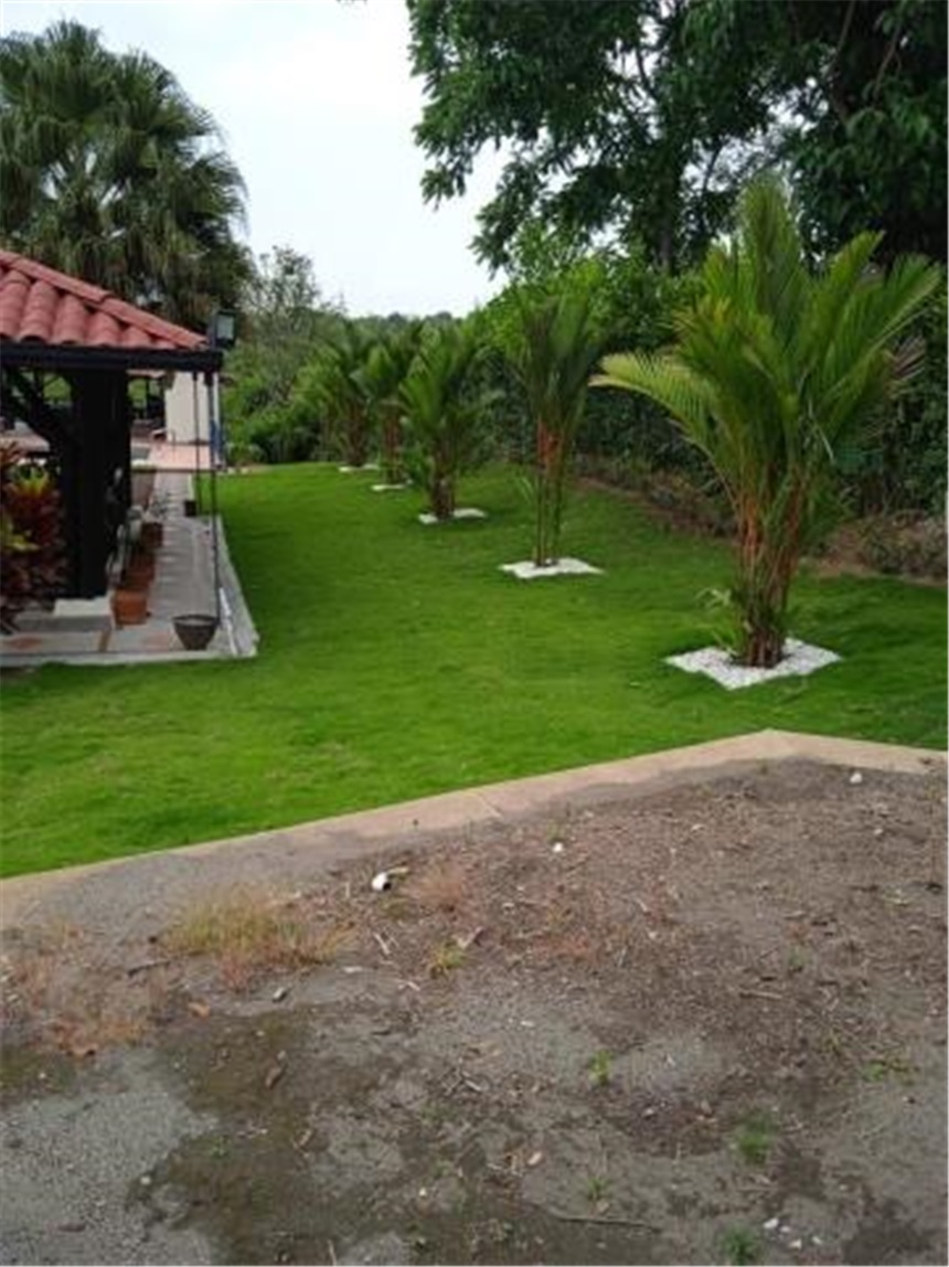 Finca en Venta - Ansicht 3