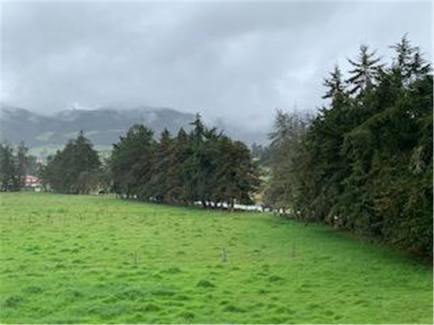Lote en venta en Marquez, La Calera, 30000 m² · foto 3 de 14