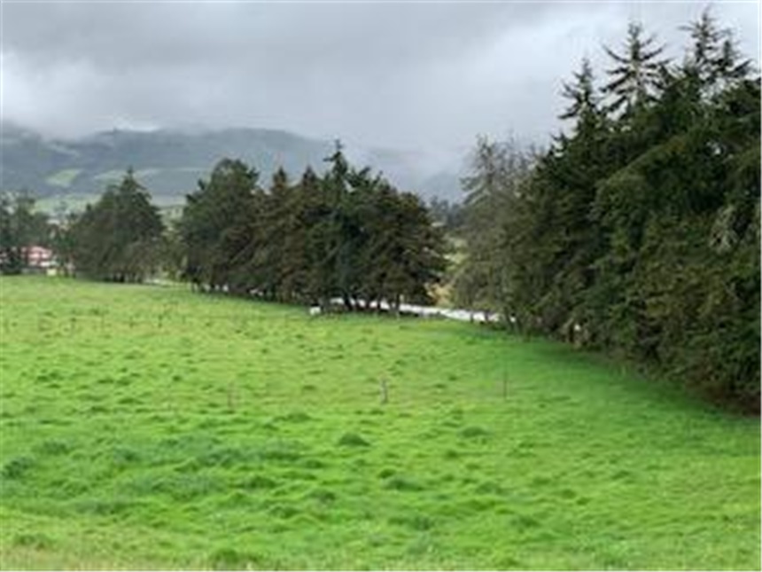 Lote en venta en Marquez, La Calera, 30000 m² · foto 2 de 14