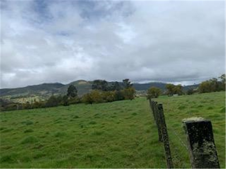 Lote en venta en Marquez, La Calera, 30000 m² · foto 12 de 14