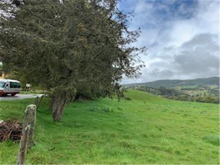 Lote en venta en Marquez, La Calera, 30000 m² · foto 5 de 14
