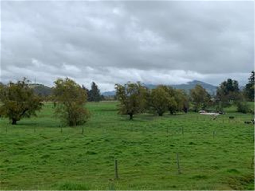 Lote en venta en Marquez, La Calera, 30000 m² · foto 10 de 14