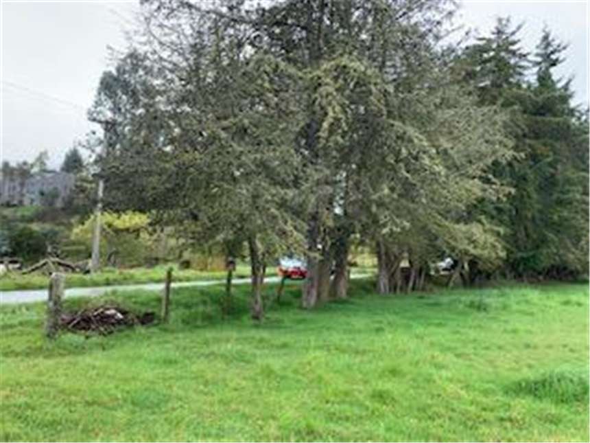 Lote en venta en Marquez, La Calera, 30000 m² · foto 4 de 14