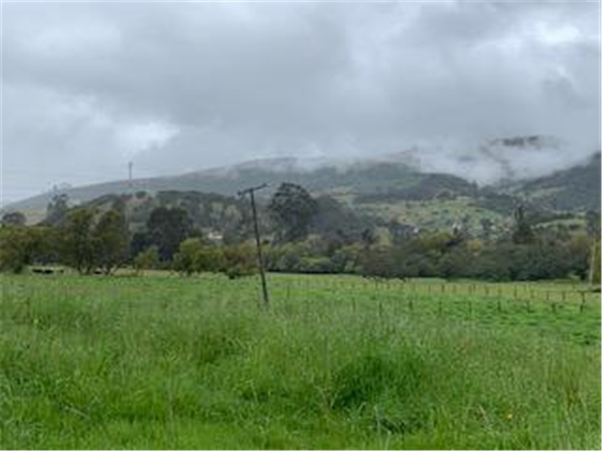 Lote en venta en Marquez, La Calera, 30000 m² · foto 6 de 14