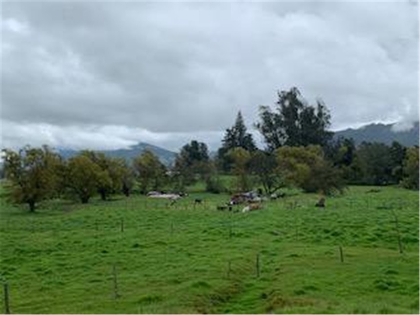 Lote en venta en Marquez, La Calera, 30000 m² · foto 7 de 14