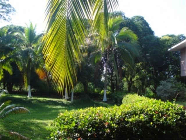 Finca en Venta